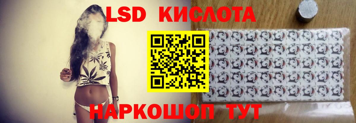 Выборг  KRAKEN онион  Вход с VPN  ЛСД экстази ecstasy  Лсд 25 экстази кислота 