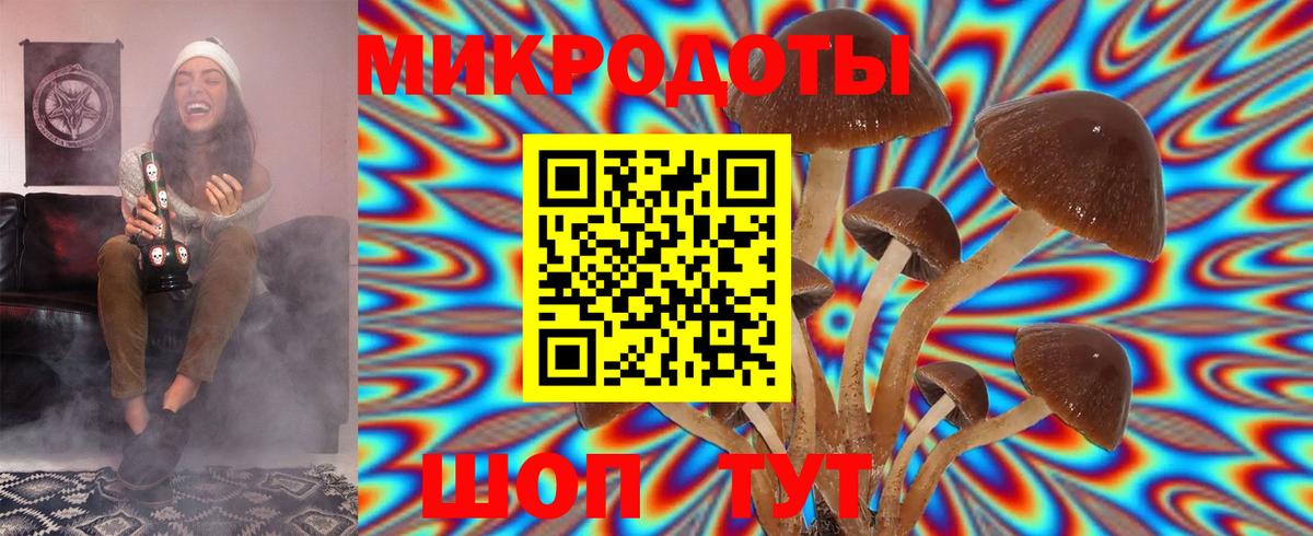Псилоцибиновые грибы ЛСД Выборг